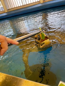 越前松島水族館に投稿された画像（2025/4/13）
