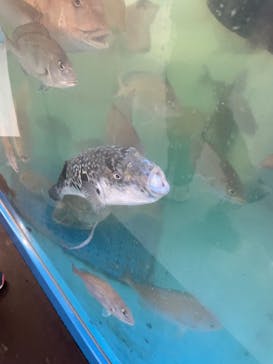 越前松島水族館に投稿された画像（2025/4/13）