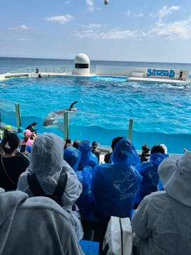 鴨川シーワールドに投稿された画像（2025/4/13）