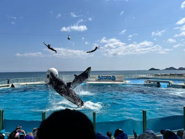 鴨川シーワールドに投稿された画像（2025/4/13）