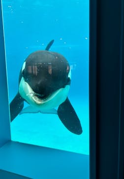 鴨川シーワールドに投稿された画像（2025/4/13）