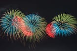 富士山花火 VS スピードウェイ 2026に投稿された画像（2025/4/13）