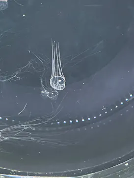 仙台うみの杜水族館に投稿された画像（2025/4/13）