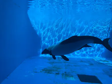 仙台うみの杜水族館に投稿された画像（2025/4/13）