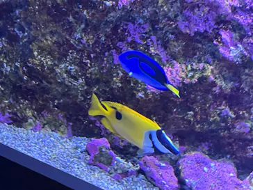 仙台うみの杜水族館に投稿された画像（2025/4/13）