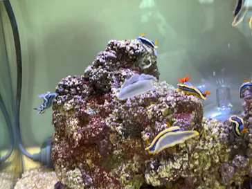 仙台うみの杜水族館に投稿された画像（2025/4/13）