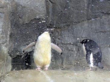 横浜・八景島シーパラダイスに投稿された画像（2025/4/13）