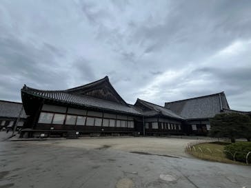 元離宮二条城に投稿された画像（2025/4/13）