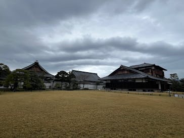 元離宮二条城に投稿された画像（2025/4/13）