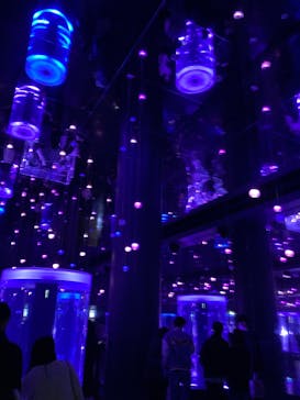 マクセル アクアパーク品川に投稿された画像（2025/4/13）