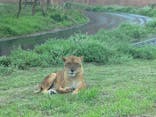 多摩動物公園に投稿された画像（2025/4/13）