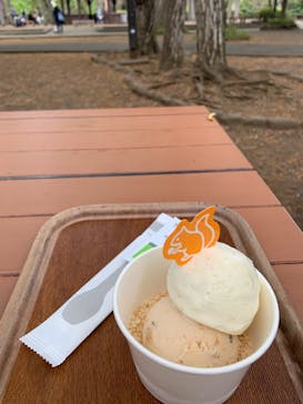 井の頭自然文化園に投稿された画像（2025/4/13）