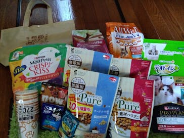 猫好きさんの祭典「にゃんだらけ19」に投稿された画像（2025/4/13）