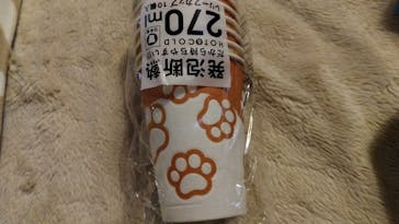猫好きさんの祭典「にゃんだらけ19」に投稿された画像（2025/4/13）