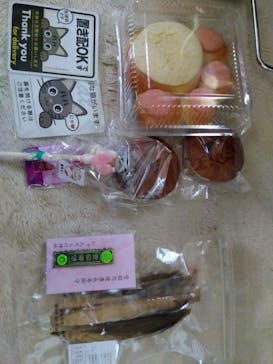 猫好きさんの祭典「にゃんだらけ19」に投稿された画像（2025/4/13）