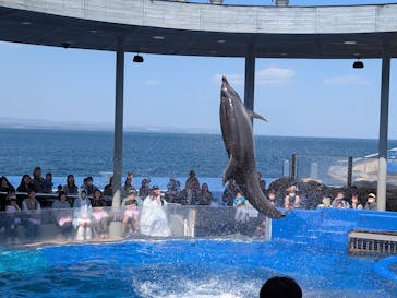 大分マリーンパレス水族館 「うみたまご」に投稿された画像（2025/4/13）