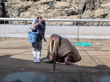 大分マリーンパレス水族館 「うみたまご」に投稿された画像（2025/4/13）