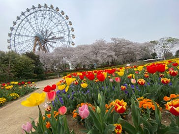 東武動物公園に投稿された画像（2025/4/13）