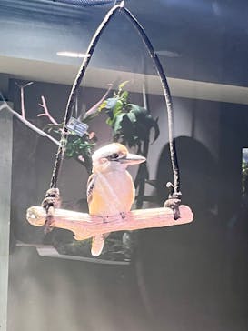 カワスイ 川崎⽔族館に投稿された画像（2025/4/13）