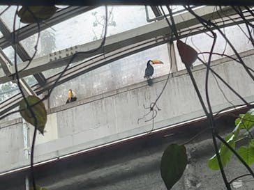 カワスイ 川崎⽔族館に投稿された画像（2025/4/13）