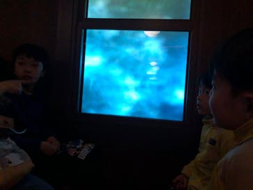 ニジゲンノモリに投稿された画像（2025/4/13）