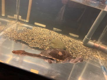 箱根園水族館に投稿された画像（2025/4/13）