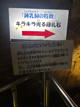 石垣島鍾乳洞に投稿された画像（2025/4/13）