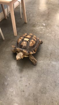 Moff アニマル カフェ イーアス 高尾店に投稿された画像（2025/4/13）