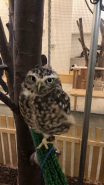 Moff アニマル カフェ イーアス 高尾店に投稿された画像（2025/4/13）