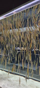 AOAO SAPPOROに投稿された画像（2025/4/13）