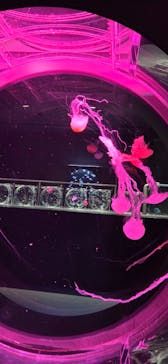 AOAO SAPPOROに投稿された画像（2025/4/13）