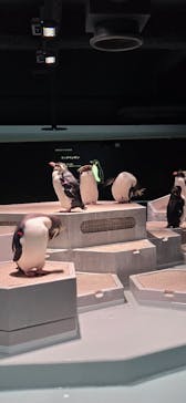 AOAO SAPPOROに投稿された画像（2025/4/13）