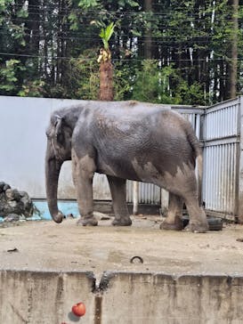 宇都宮動物園に投稿された画像（2025/4/13）