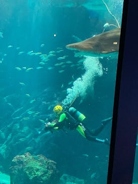 マリンワールド海の中道に投稿された画像（2025/4/13）