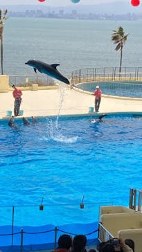 マリンワールド海の中道に投稿された画像（2025/4/13）
