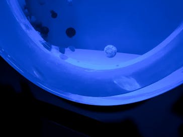 アクアワールド茨城県大洗水族館に投稿された画像（2025/4/13）