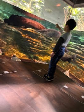 カワスイ 川崎⽔族館に投稿された画像（2025/4/13）