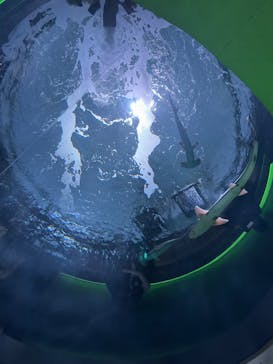 四国水族館に投稿された画像（2025/4/13）