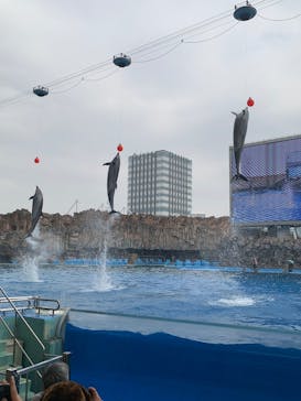 名古屋港水族館に投稿された画像（2025/4/13）