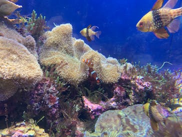 名古屋港水族館に投稿された画像（2025/4/13）