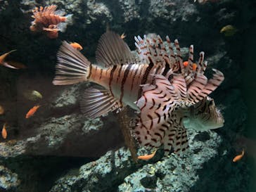 名古屋港水族館に投稿された画像（2025/4/13）