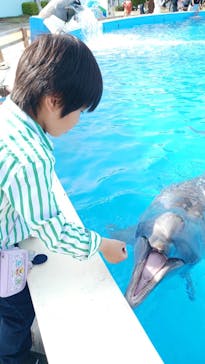 南知多ビーチランド＆南知多おもちゃ王国に投稿された画像（2025/4/13）