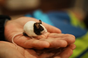 アニタッチみなとみらいに投稿された画像（2025/4/13）