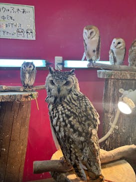 アニタッチPARKイオンモール太田に投稿された画像（2025/4/13）