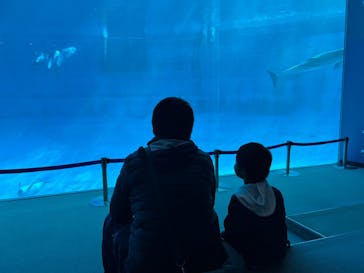 名古屋港水族館に投稿された画像（2025/4/13）