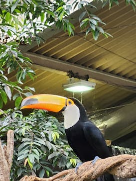 那須どうぶつ王国に投稿された画像（2025/4/13）