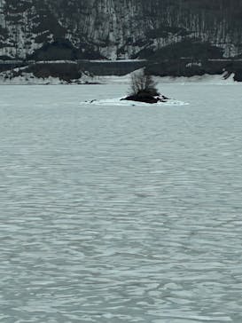 諸橋近代美術館に投稿された画像（2025/4/13）