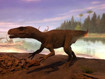 福井県立恐竜博物館に投稿された画像（2025/4/13）