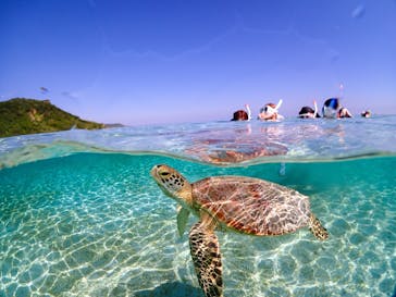 宮古島マリンショップSmileyに投稿された画像（2025/4/13）