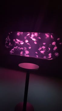 AOAO SAPPOROに投稿された画像（2025/4/14）